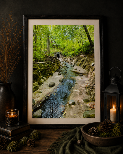 Through the Hollow | Woodland Creek Photography Print