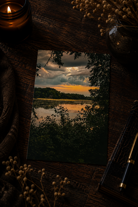 Beyond the Trees | Moody Lake Photography Postcard